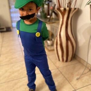 Luigi kids costume